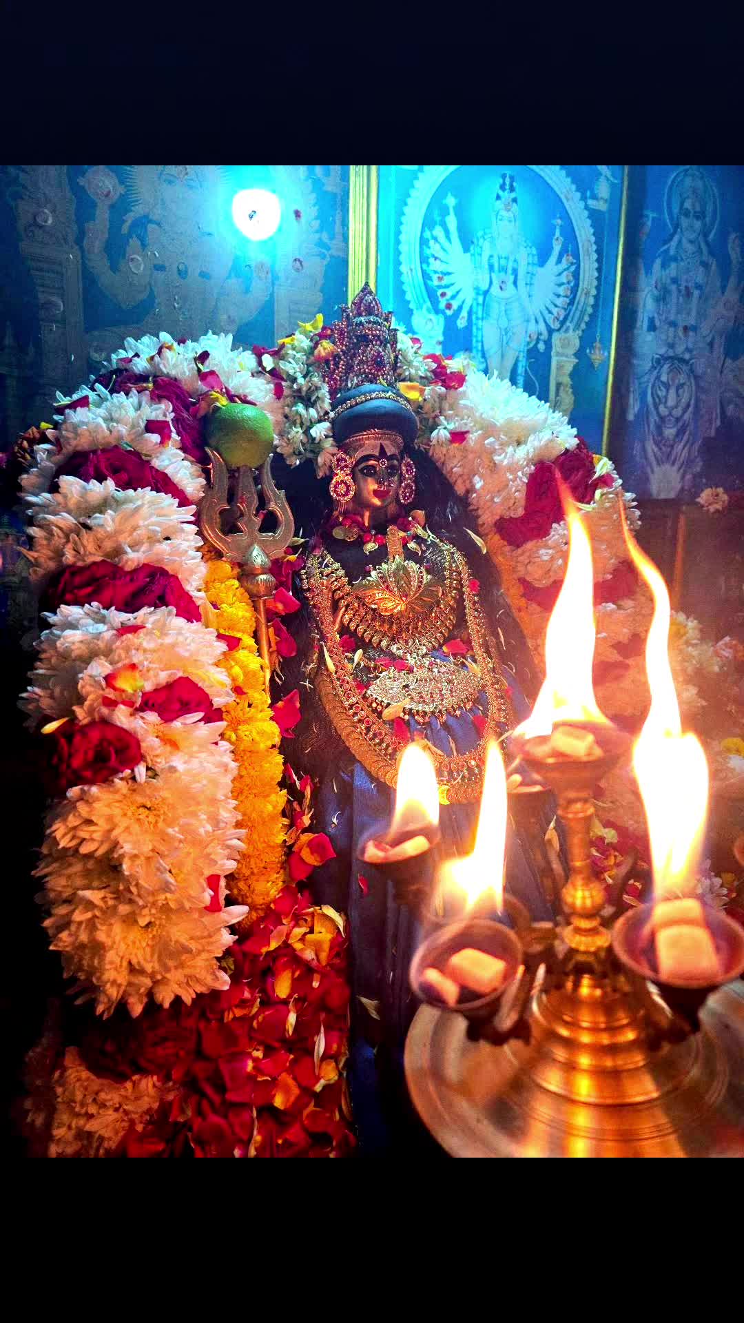 @Mohanraj Sivanesan 👑❤️