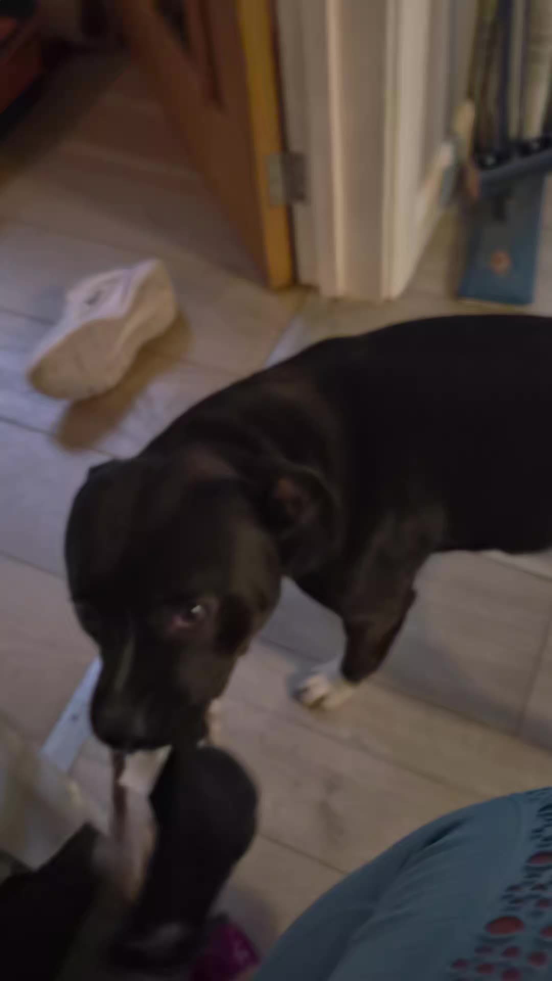 @Leading ⭐️ Girl