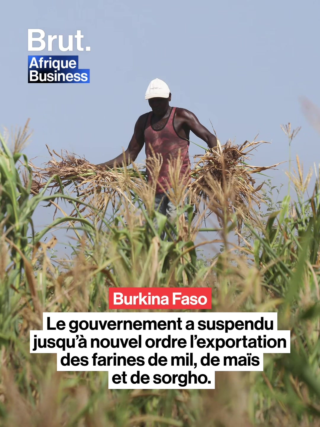 @Brut. Afrique