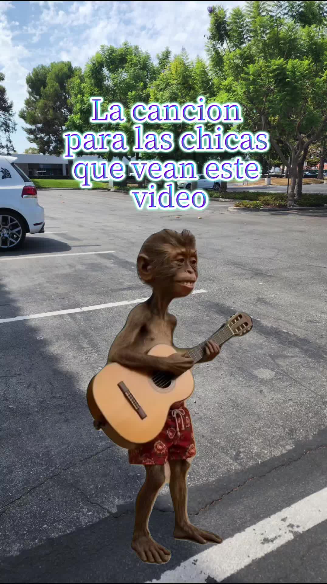 @🕊🐿🎤🎸LA CantanteSuaz🎤🐿🕊