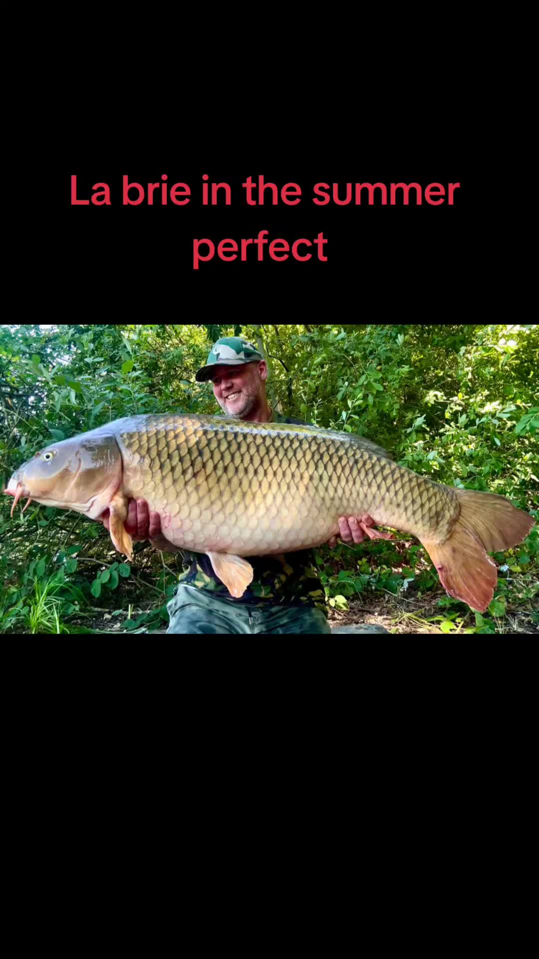 @scaley waters