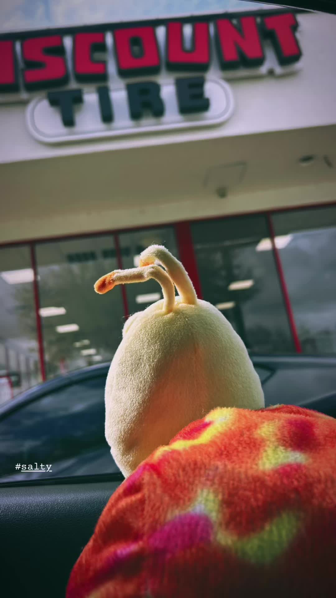 @salty8tx