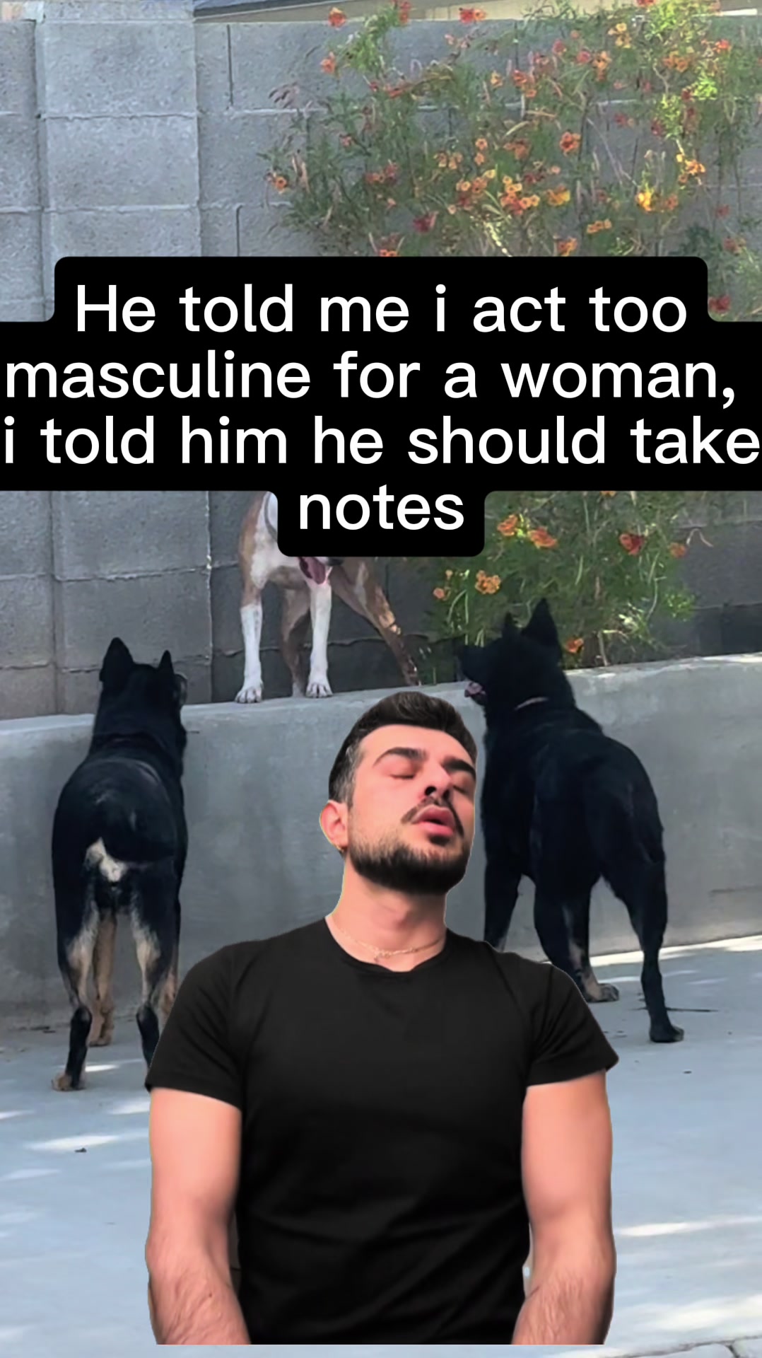 @Shepsky Mom