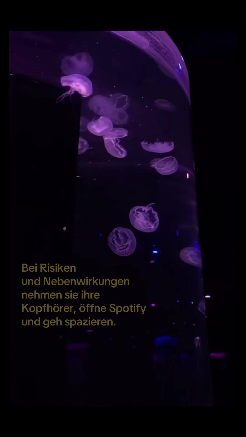 @𝑀𝒶𝓍𝒾𝓂𝑒