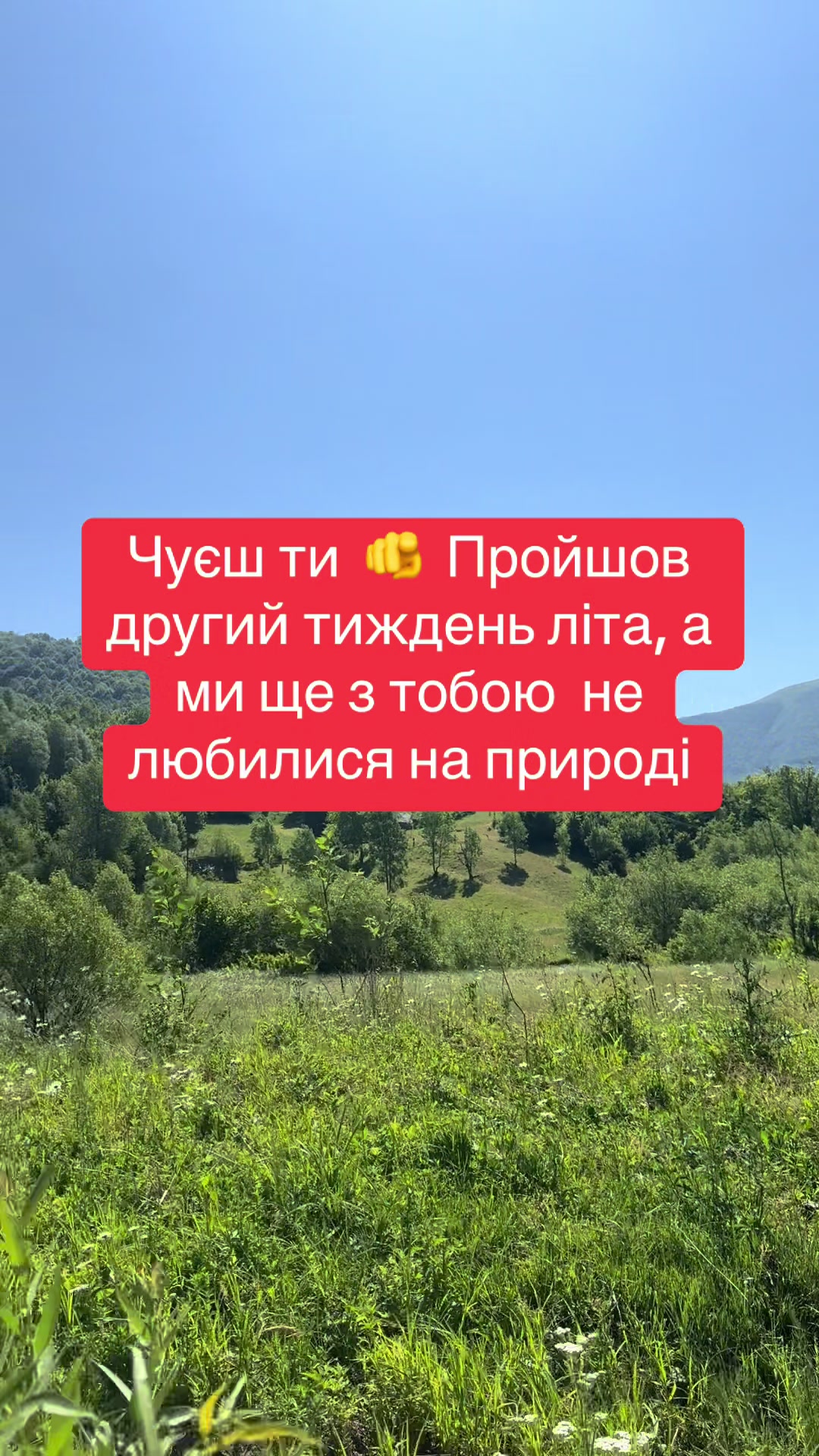@ykustravel