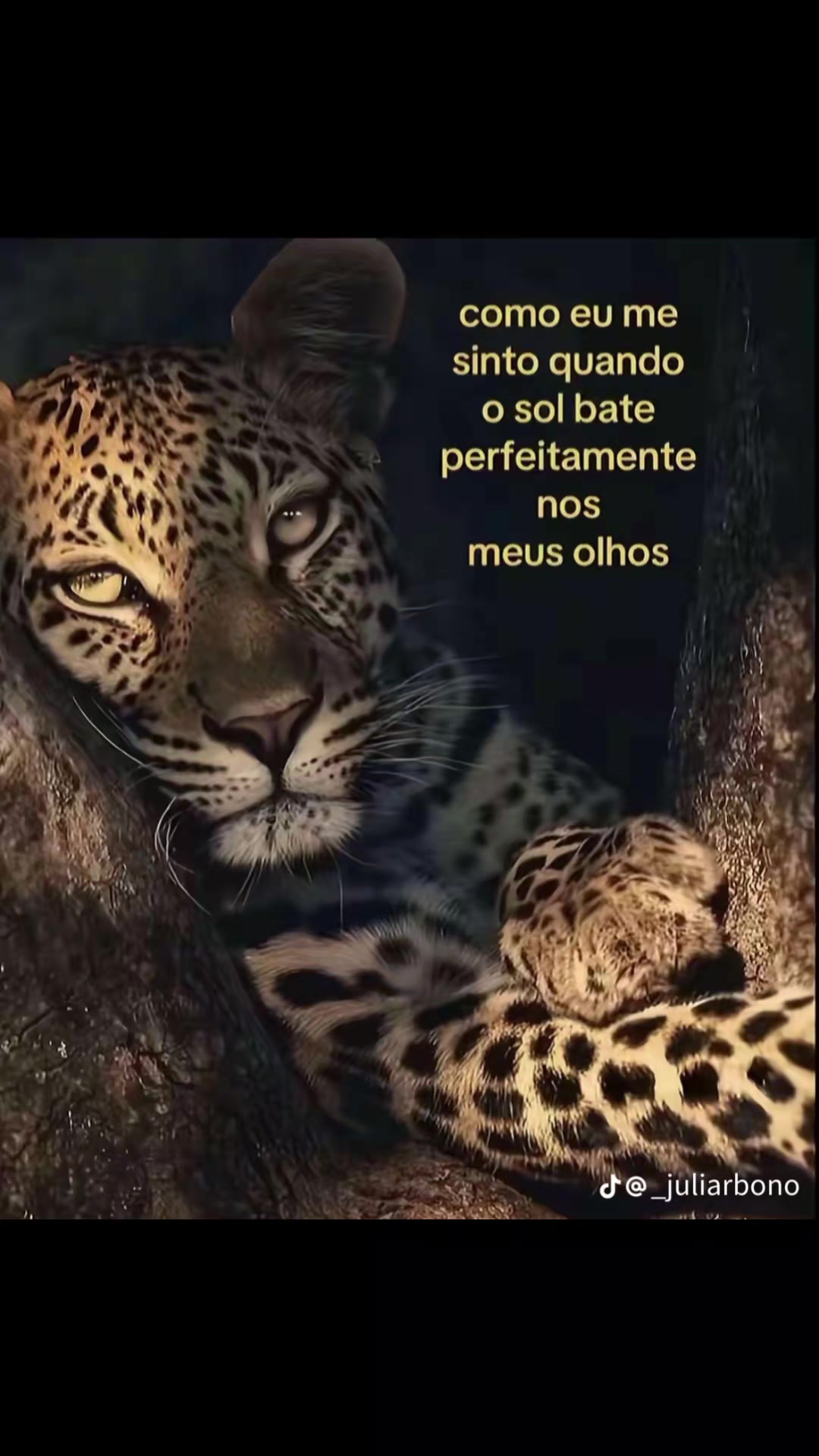 @.-..