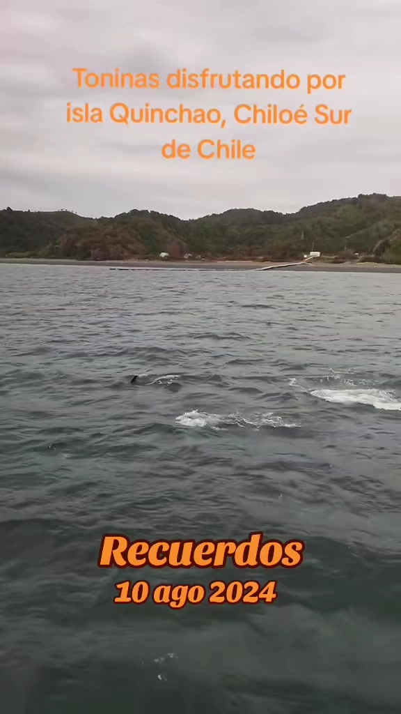 @jorge_el_chilote