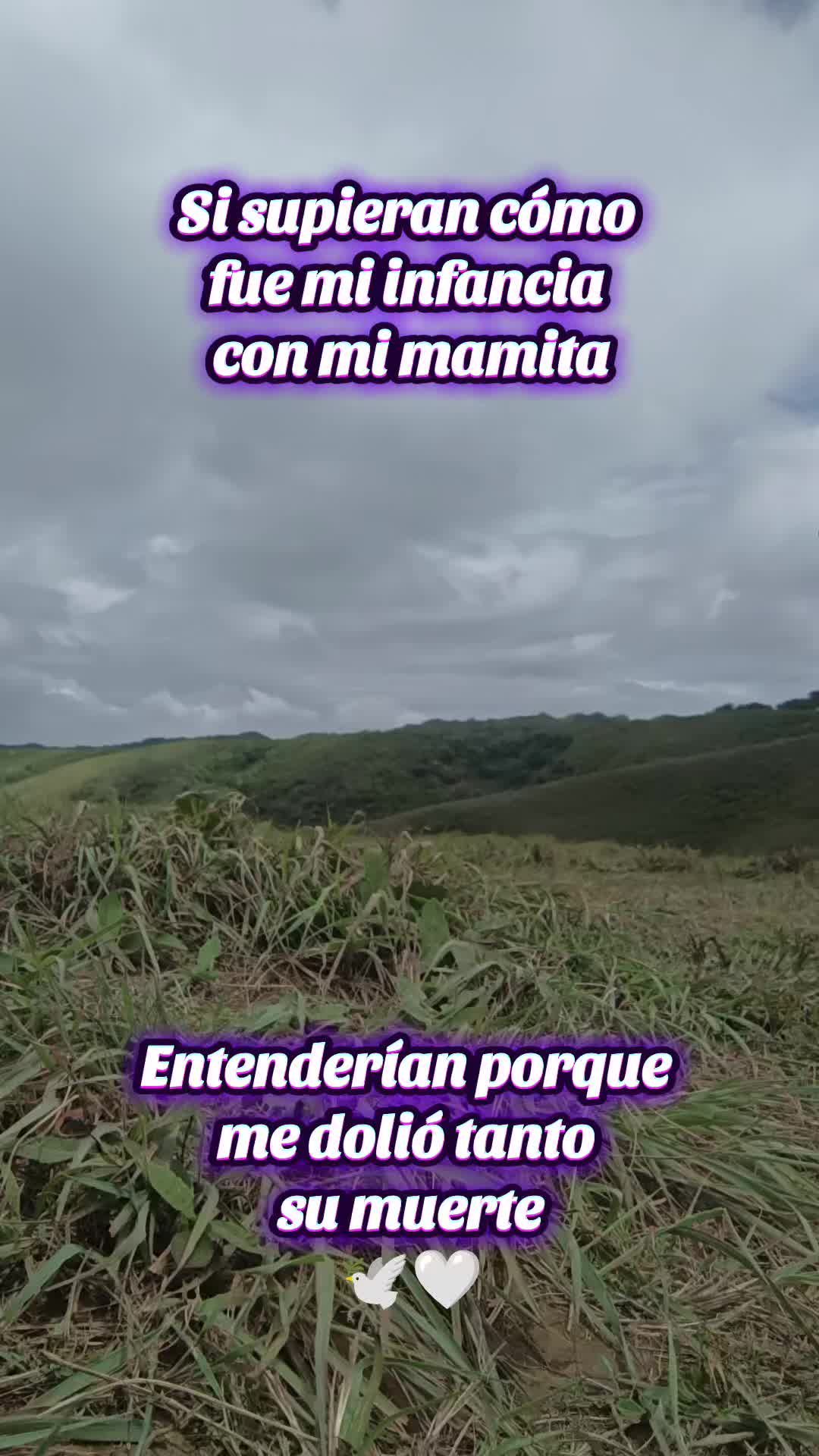 @Alder Martinez