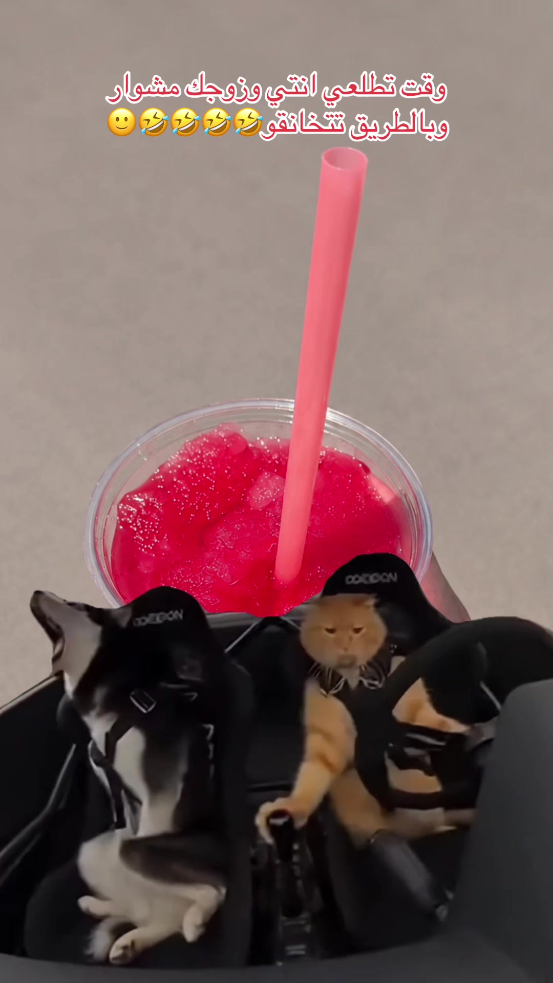 @🍓🧸jojo(っ◕‿◕)っ♥