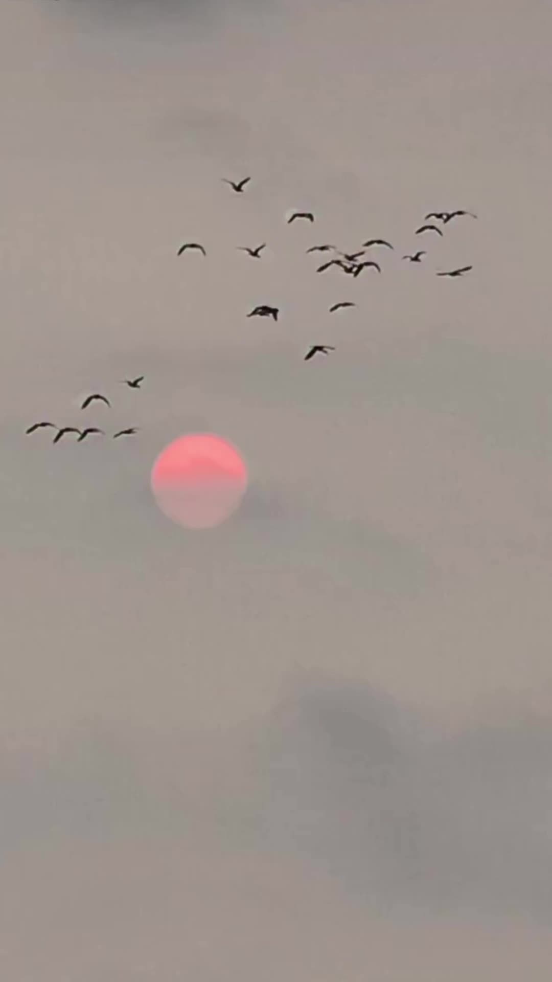 @16:06💙😎