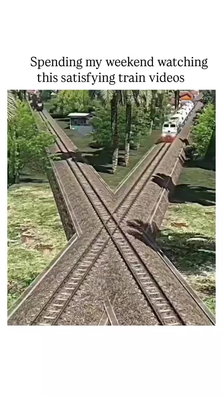 @dailyweirdness1