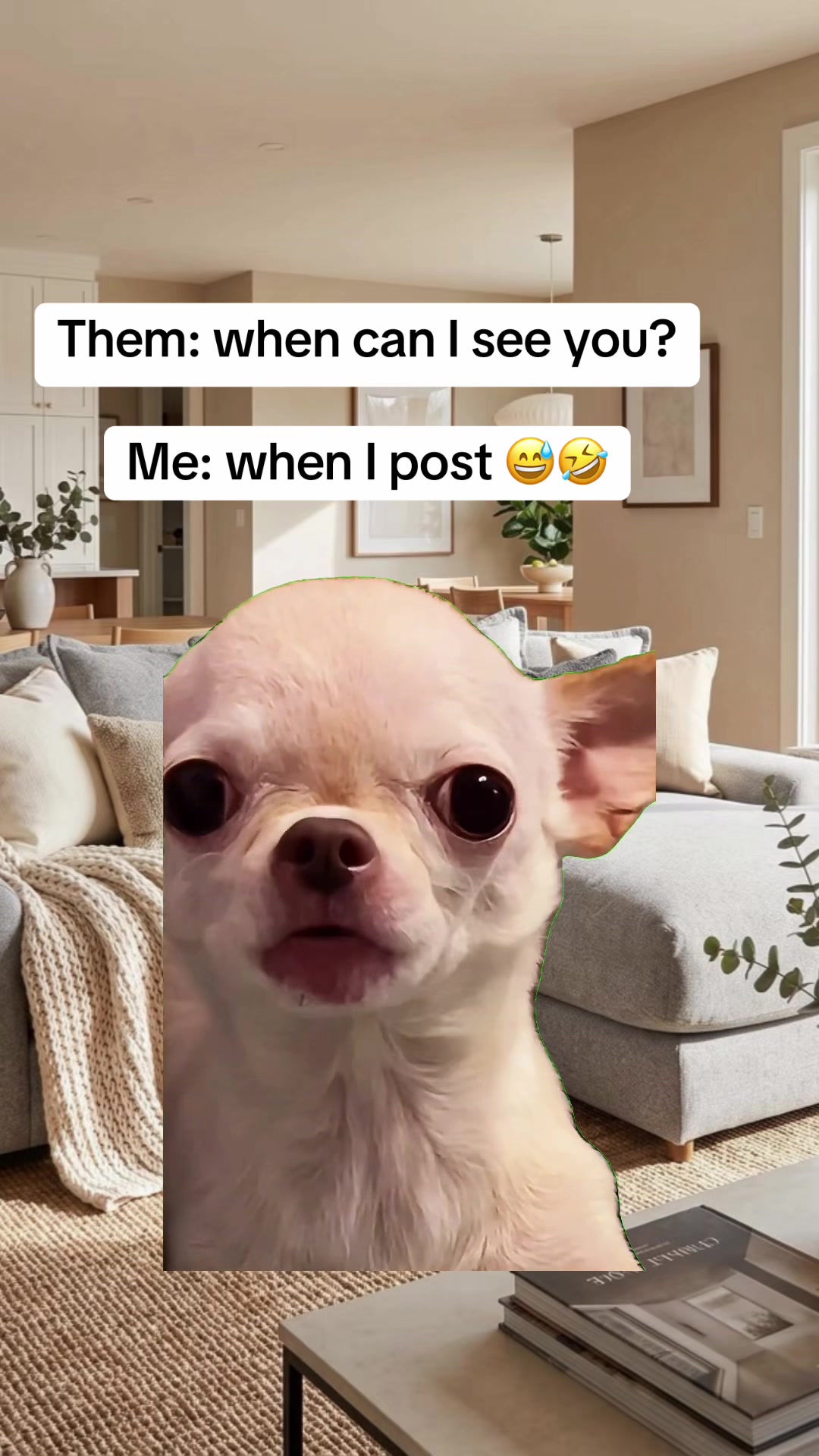 @Lilyswit