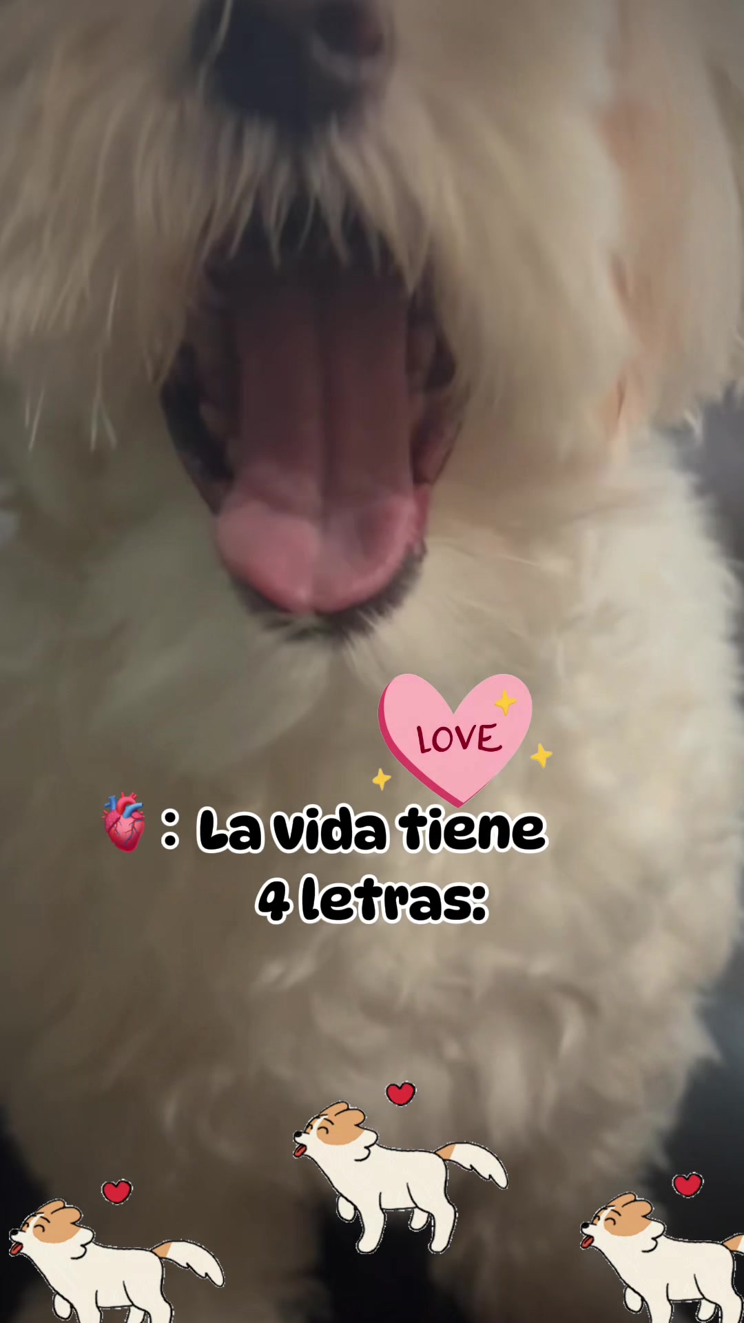 @los3huevertos