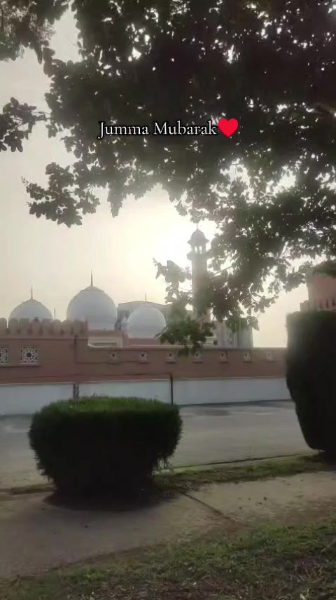 @Fatima KaShaN