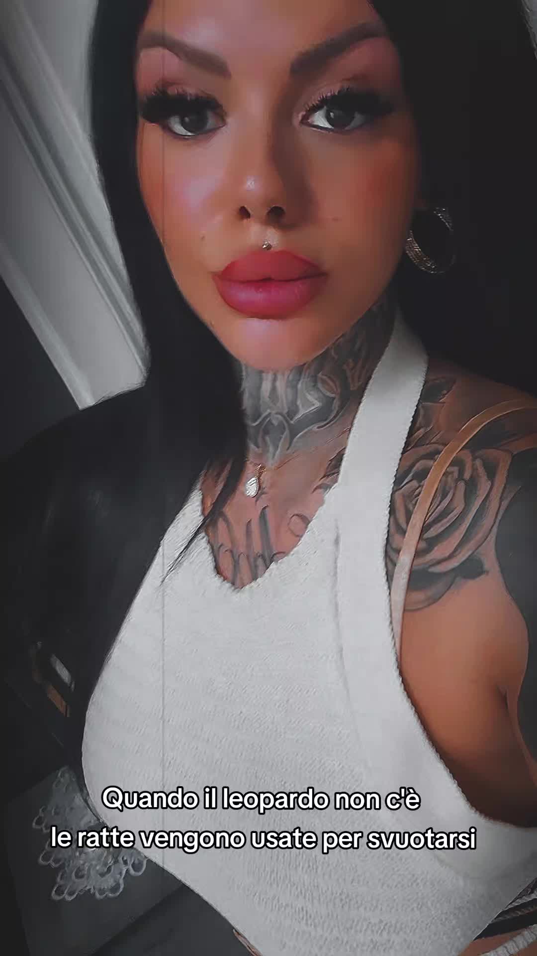 @alternative_alisea