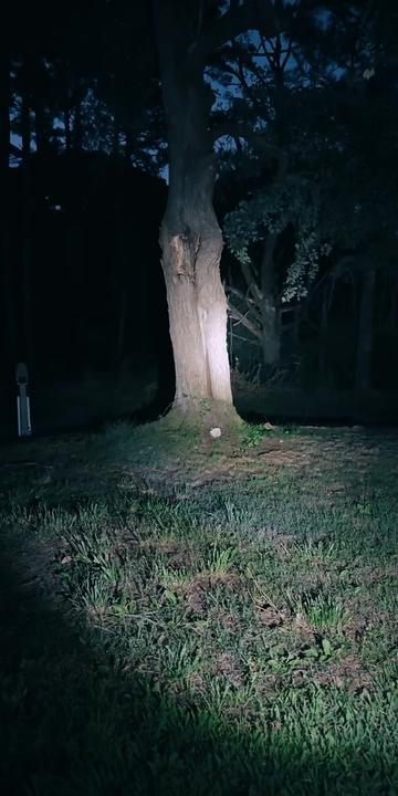 @🕯️✨Porchlight Paranormal✨🕯️