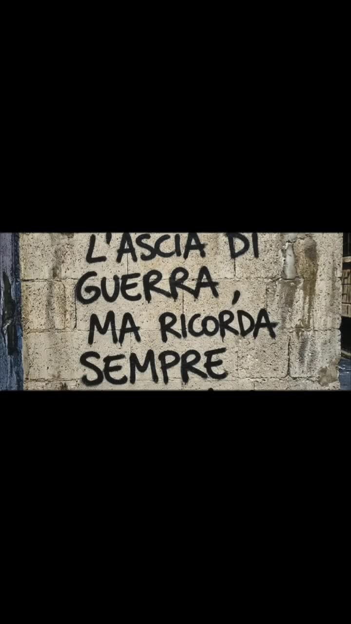 @Maria Mainieri