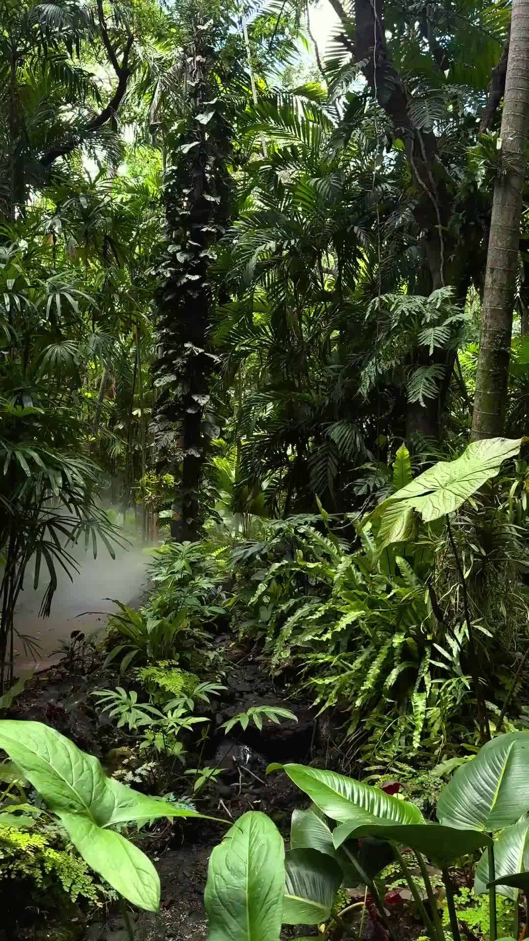 @Fairchild Botanic Garden