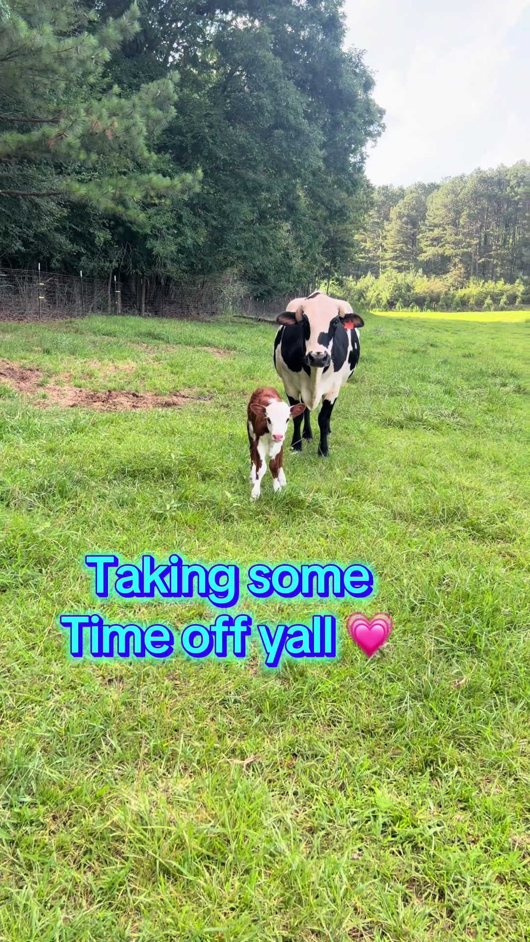 @Georgia Farm Girl