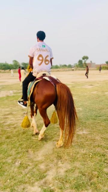 @Rai Usman