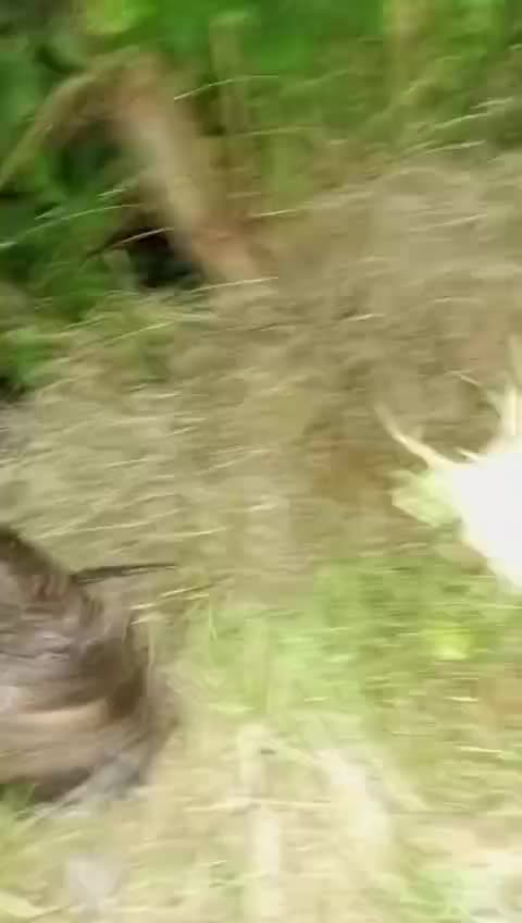 @Alexandra02
