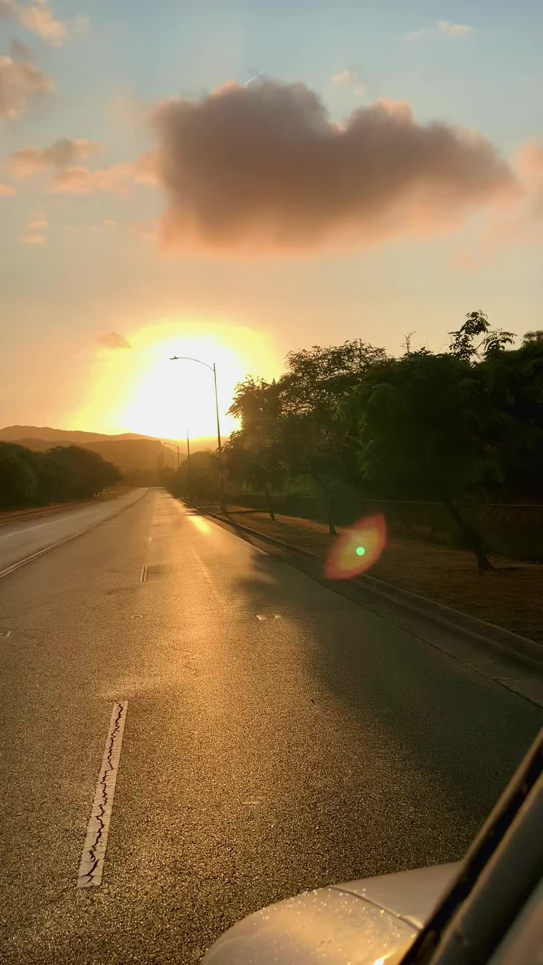 @Aaron🌴808
