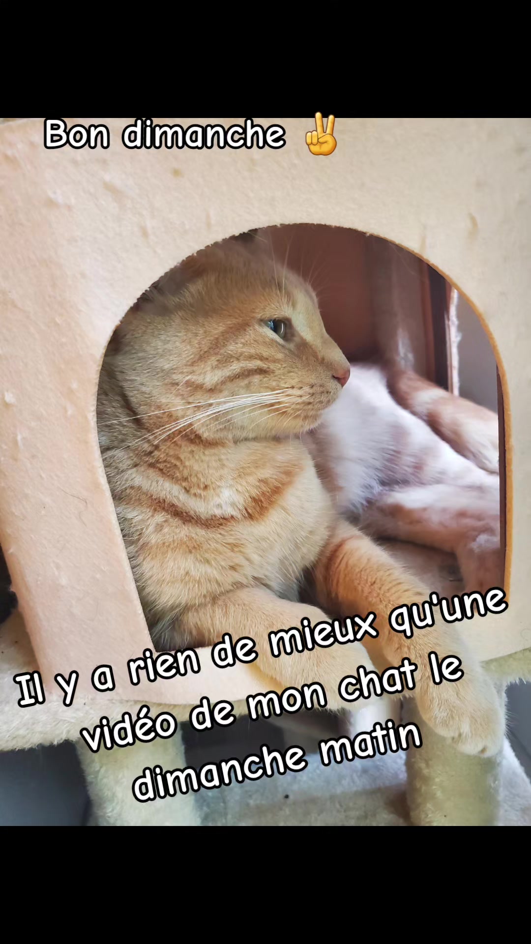 @L'AnTiSoCiAl🤪