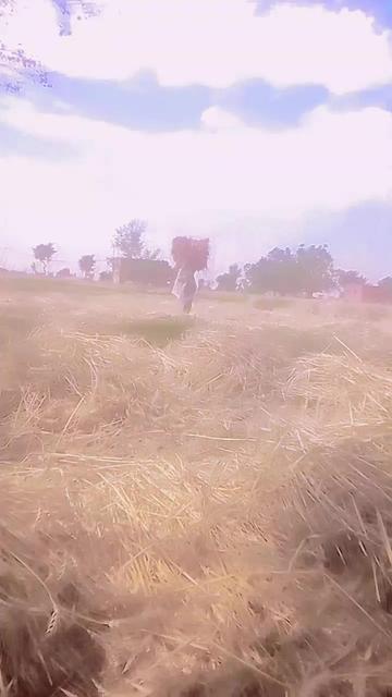 @Gulam Haider
