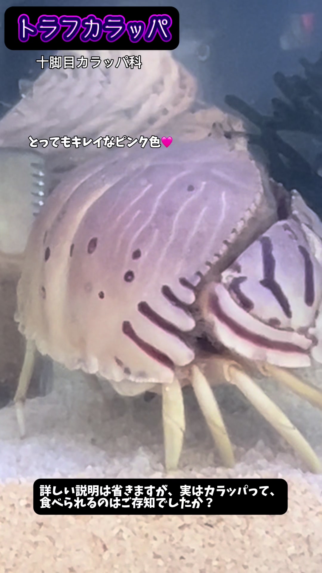 @yu_zuki.7