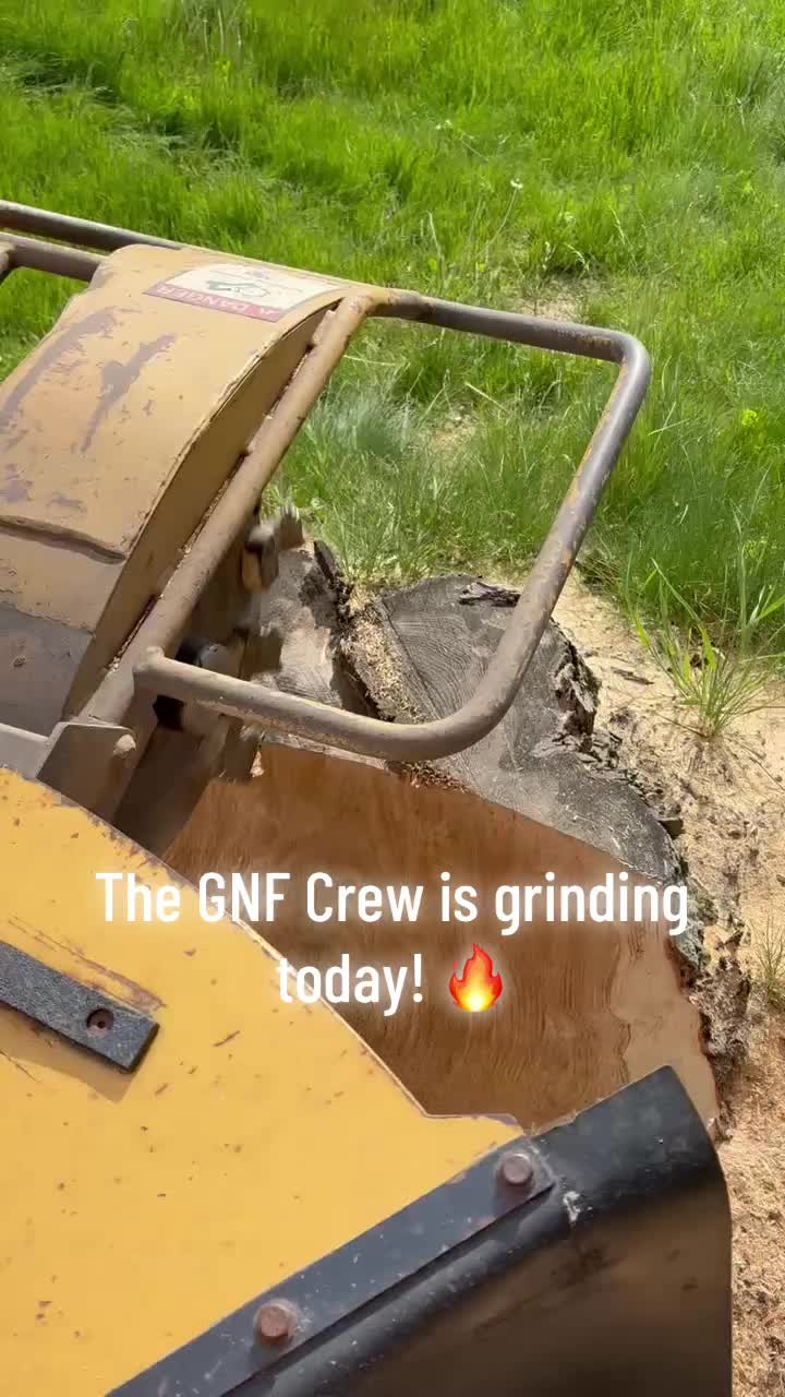 @GNF Services, LLC