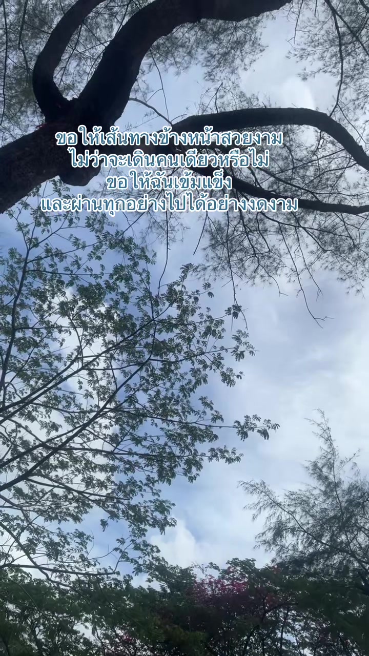 @นางฟ้า🧚🏻♀️โลกสวย💫🌷👑🦄