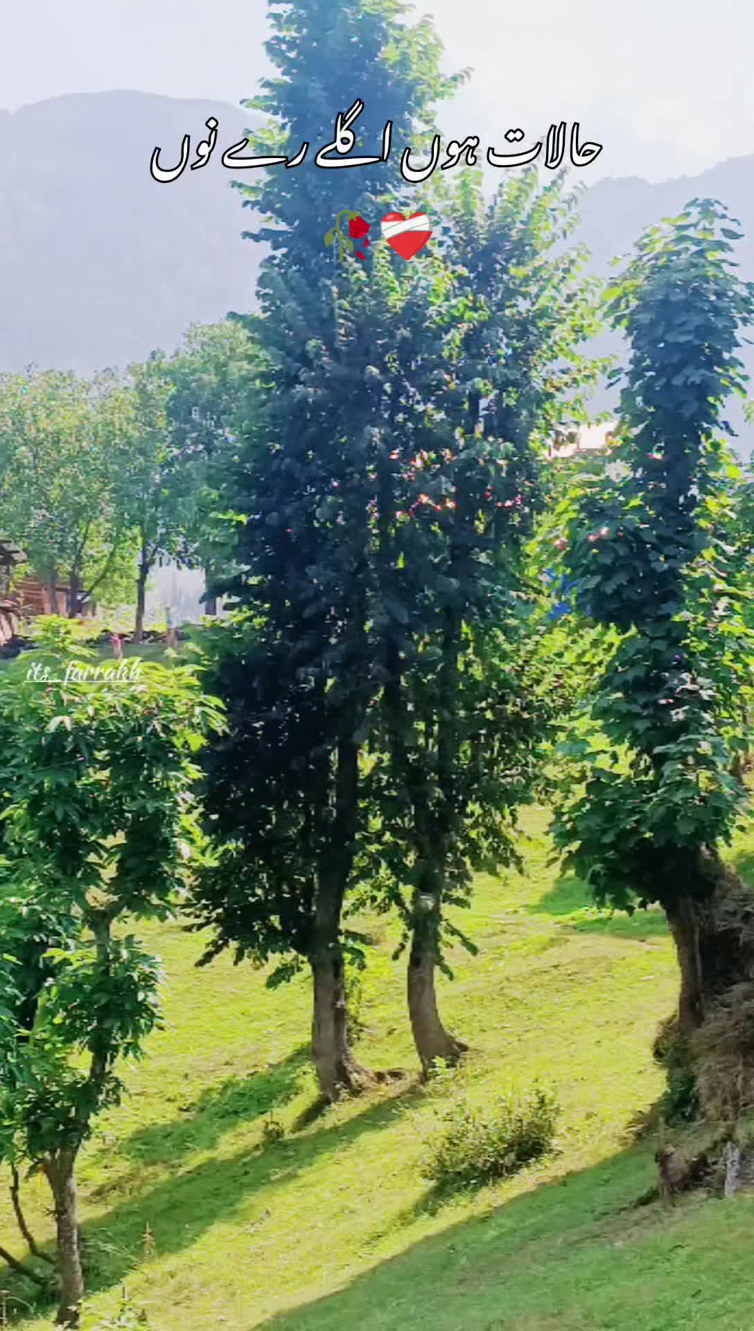 @Farrakh Kamboh