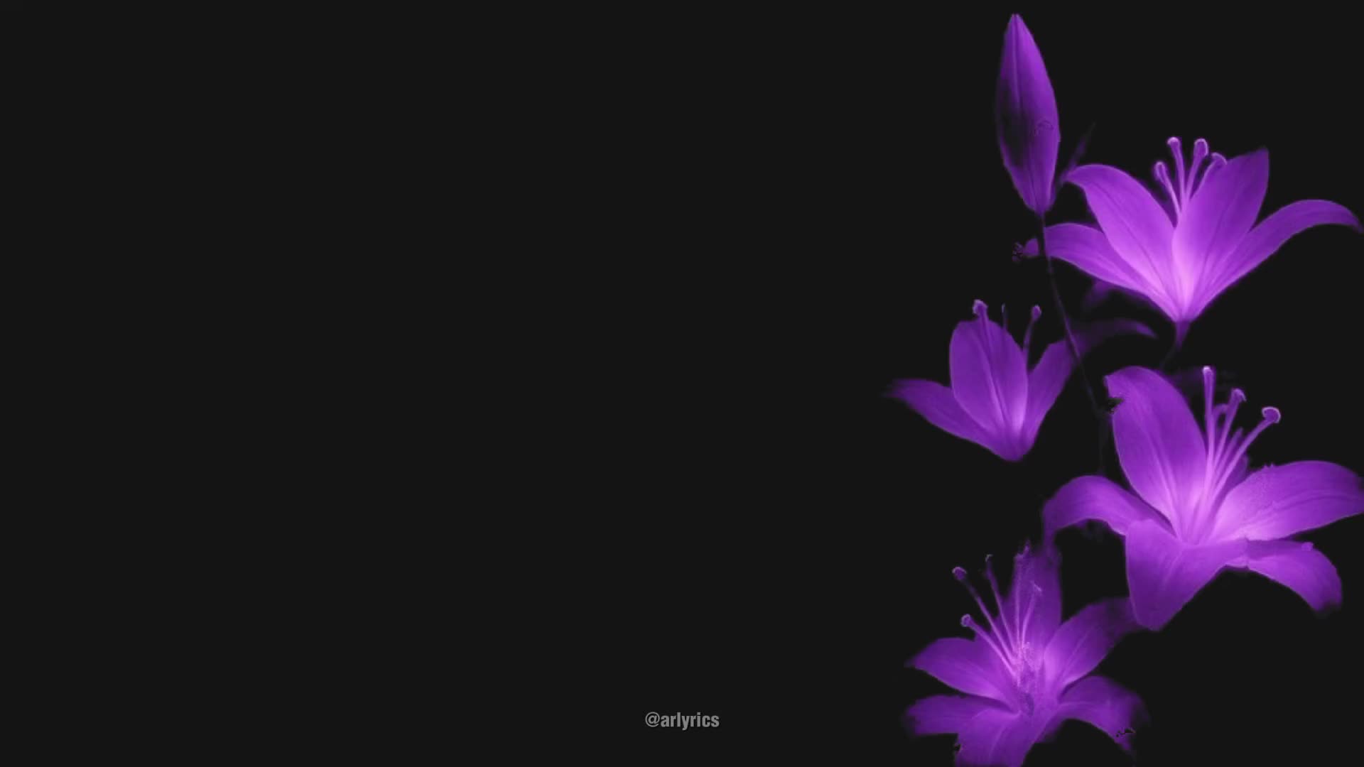 @ARLYRICS