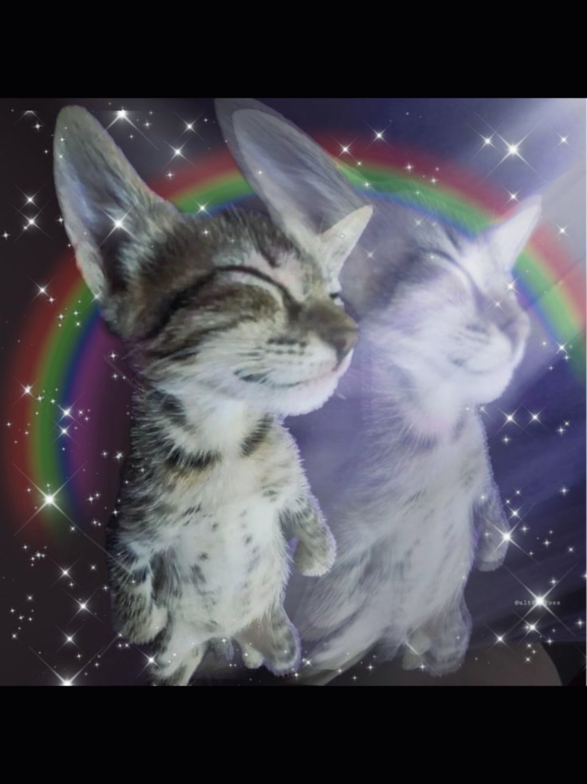 @☆