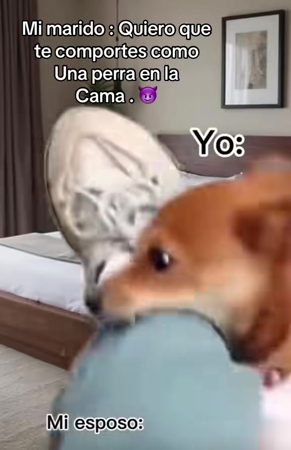 @Karlita Lisbet Ávila