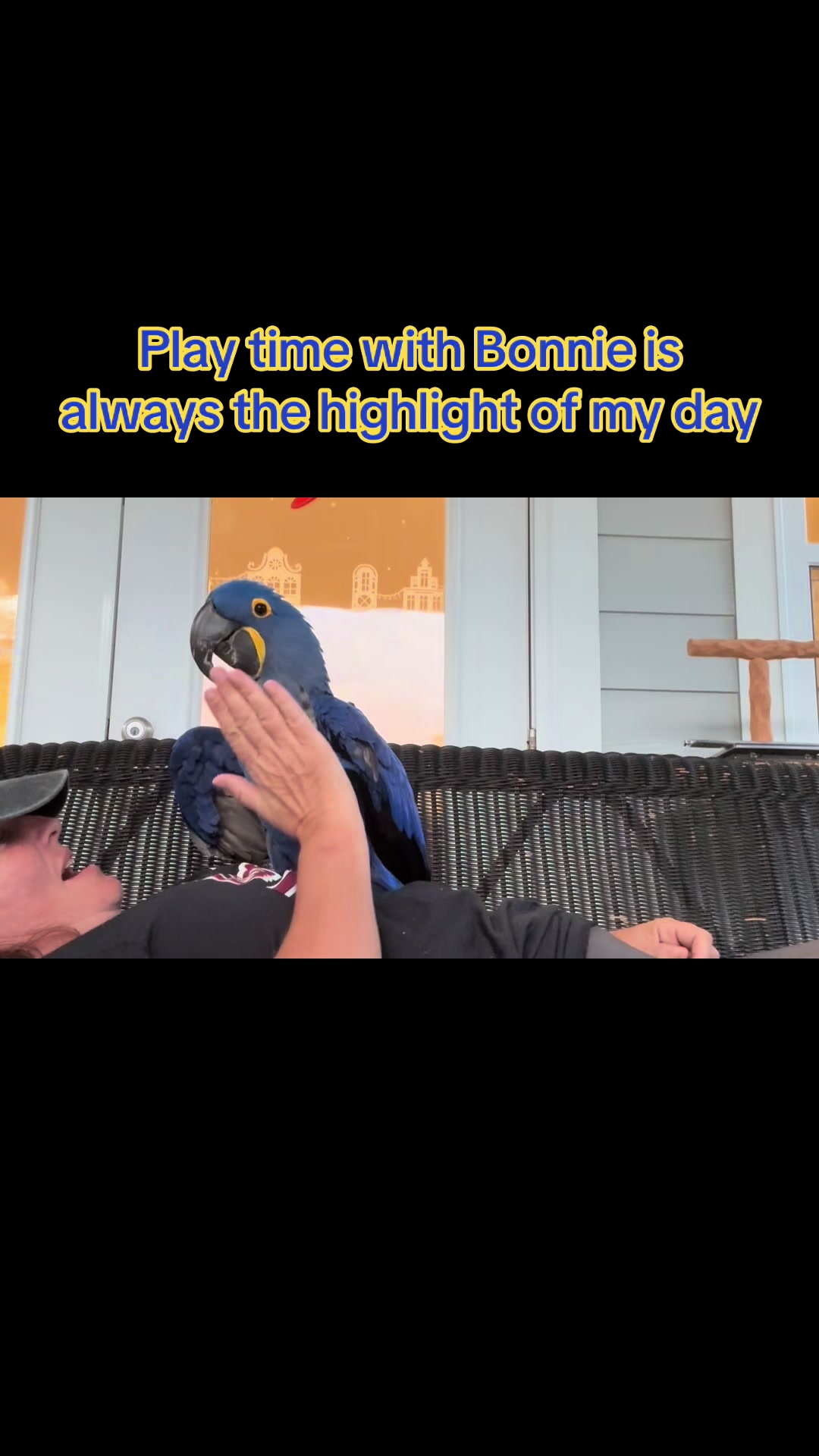 @thehinzoo