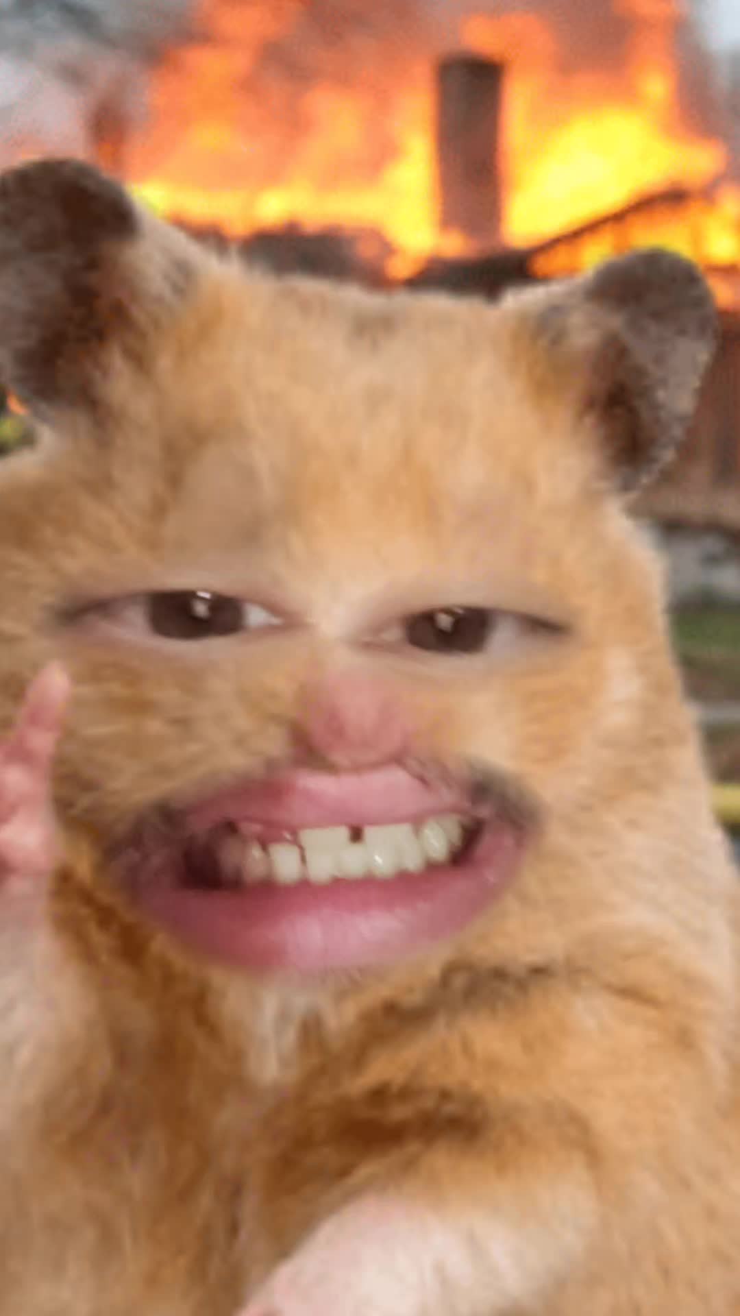 @Dusten Luongo