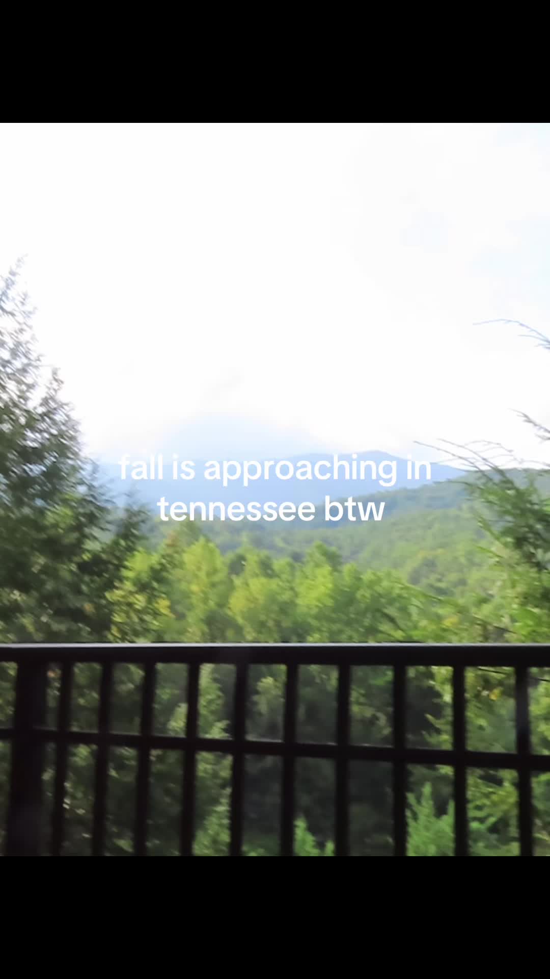 @mmaratara