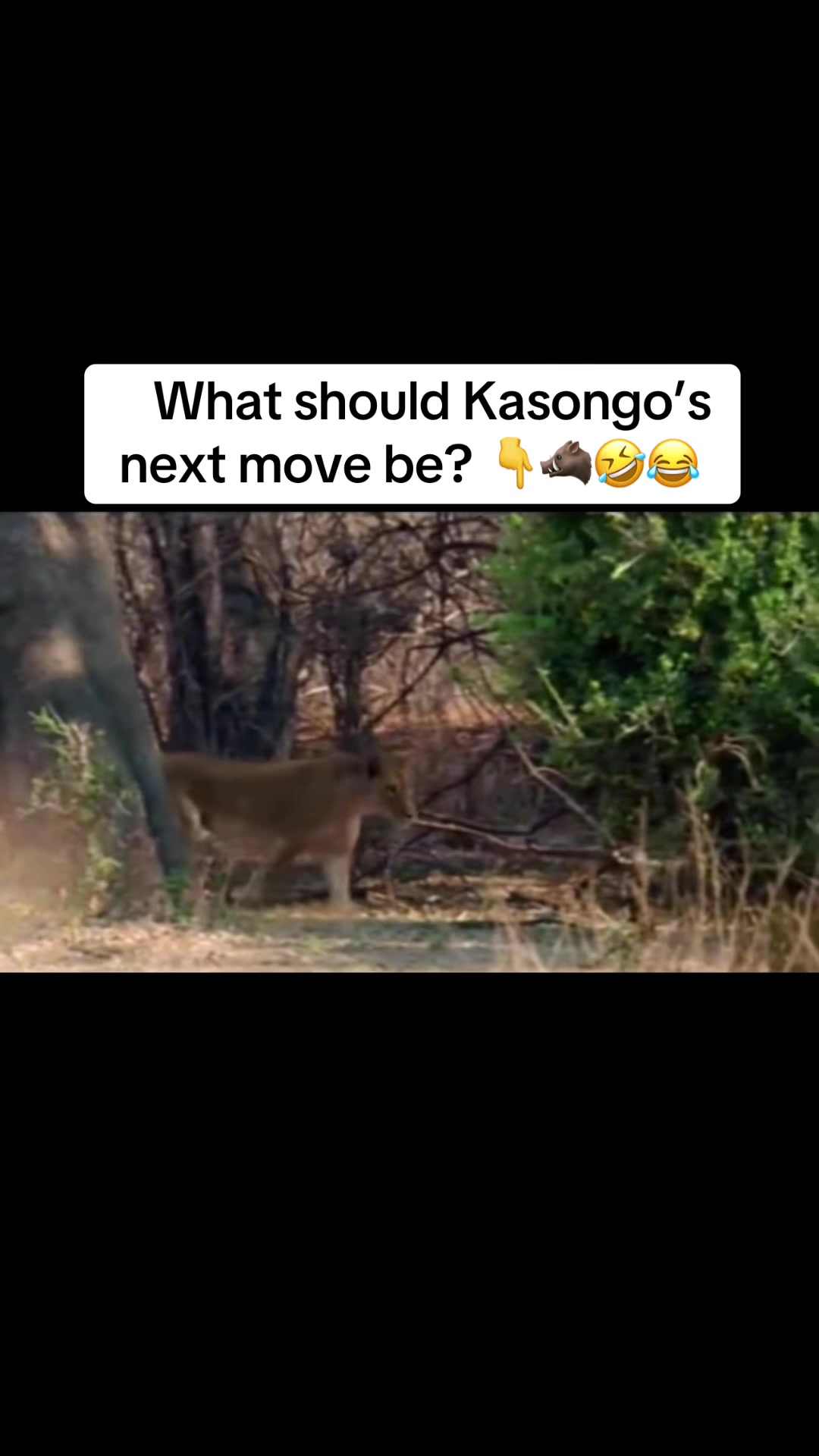 @Warthog