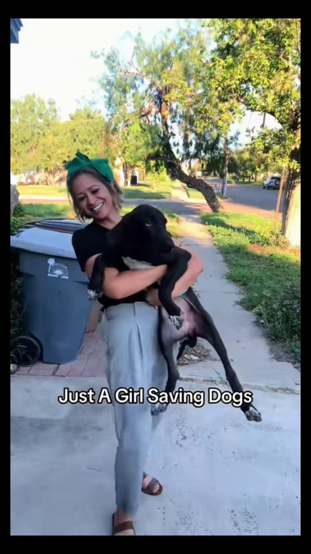 @Just A Girl Saving Dogs