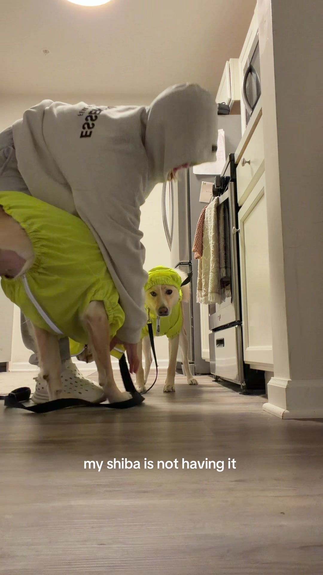 @aligoldstein