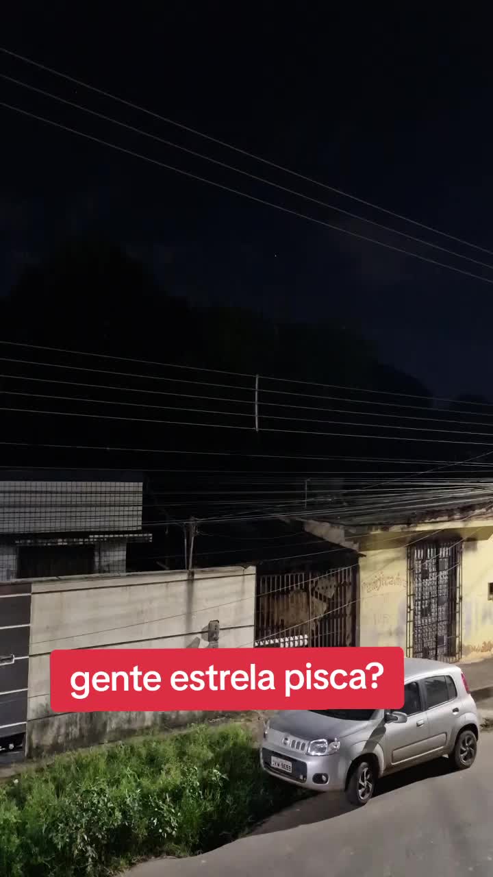 @celiapereira9823