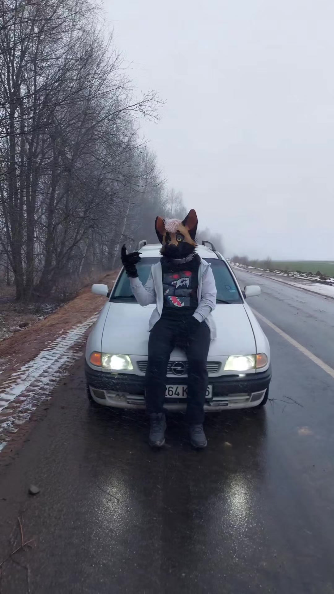 @RUSTY#WingedFox