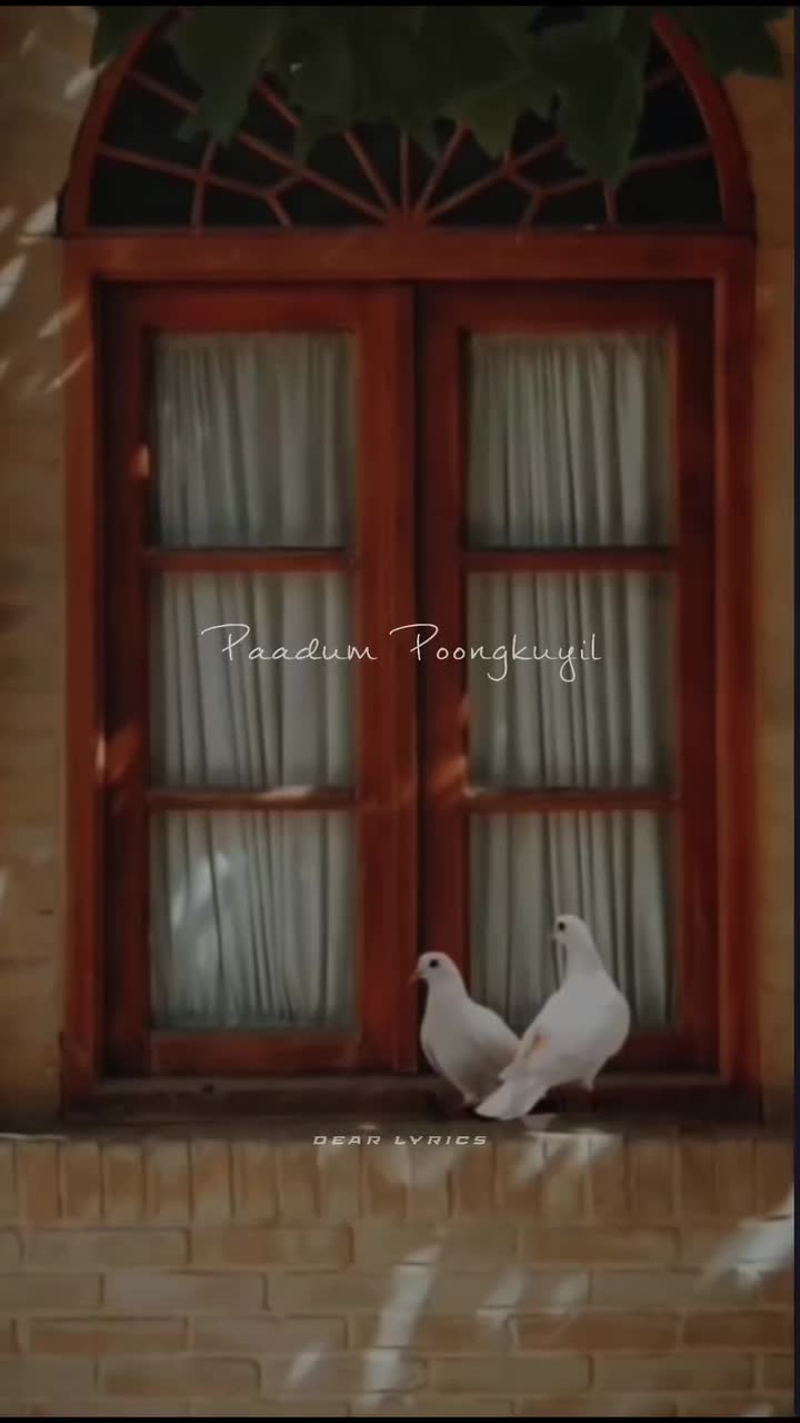 @vasantha