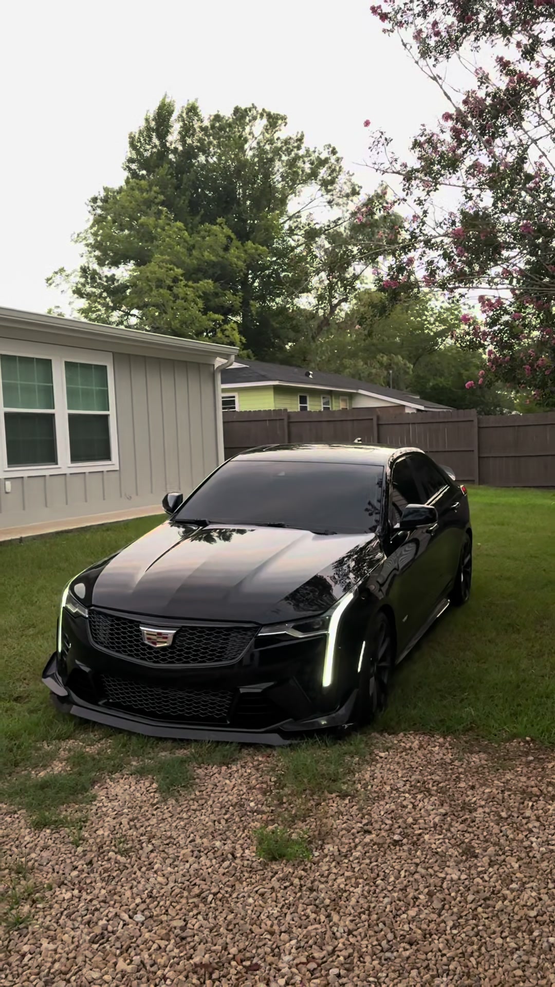 @blackoutt.v 🦇