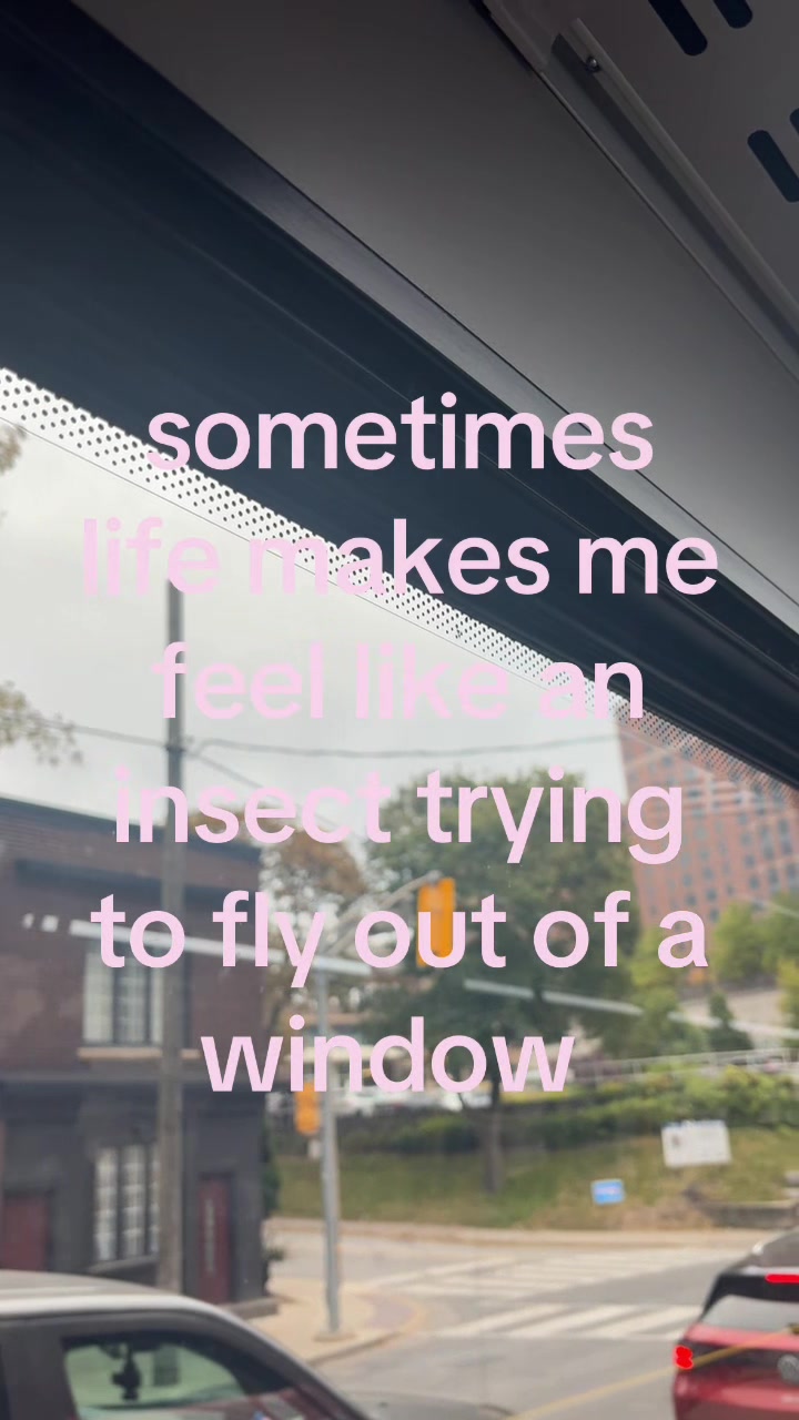 @𝐻𝒶𝓁𝑜 🪽
