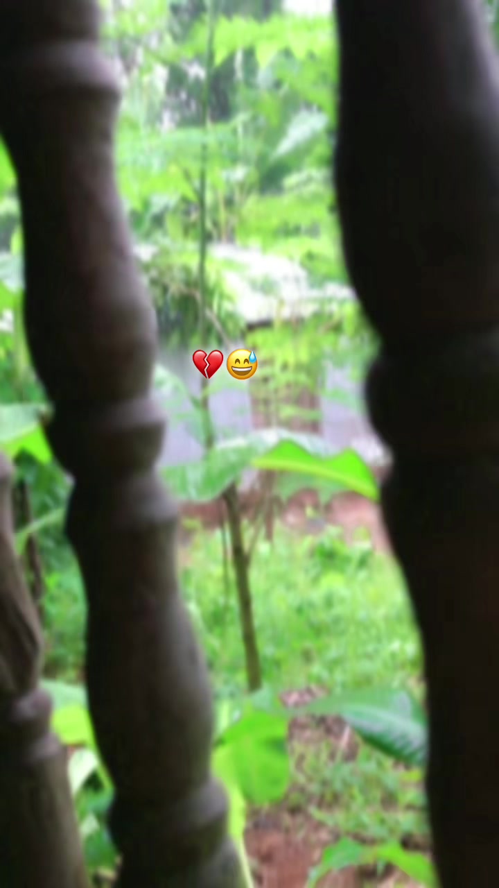@⚡EVAN SAGOR 🥷🍾🍁