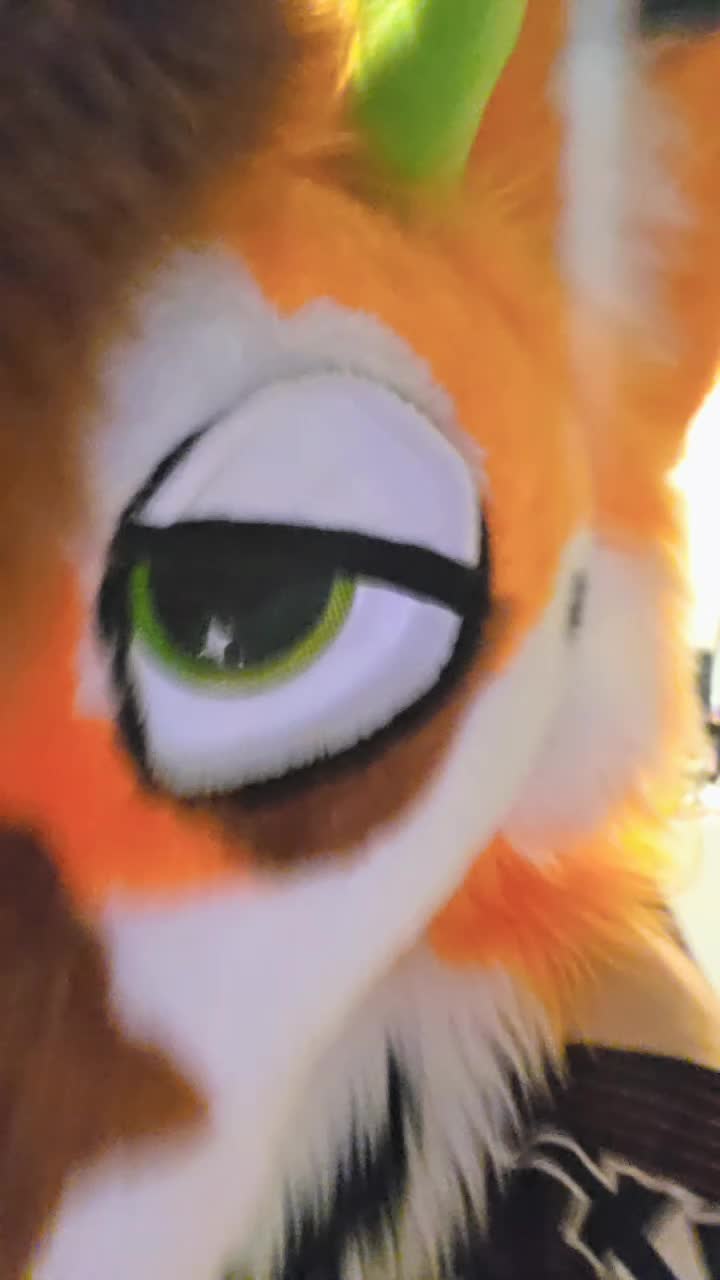 @mutt