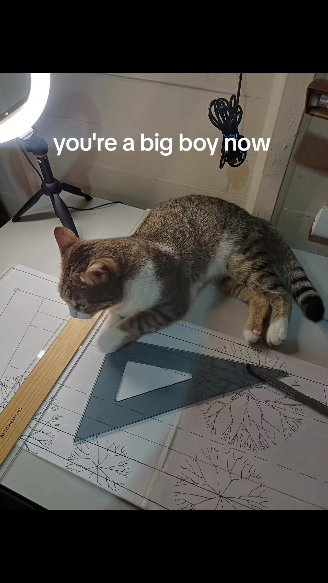 @Tammy