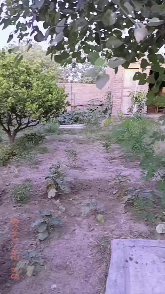@Alijaanboom